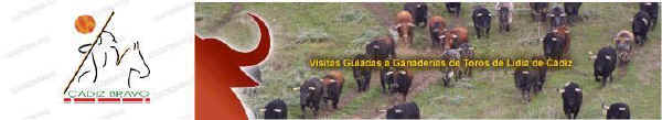 En La Sierra de Cádiz y aledaños pastan los toros del rey Gerión; tienen miles de años y merecen ser vistos, así que el aficionado al toro corrido popular que quiera buscar animales solventes para su villa o simplemente incardinarse con el toro no perderá el tiempo visitando aquellas entrañables tierras. Este enlace le facilitará la labor.