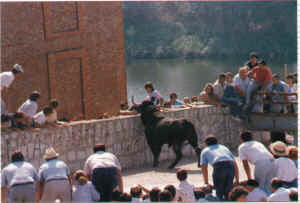PICA SOBRE LA IMAGEN