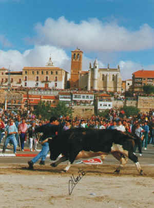 PICA SOBRE LA IMAGEN